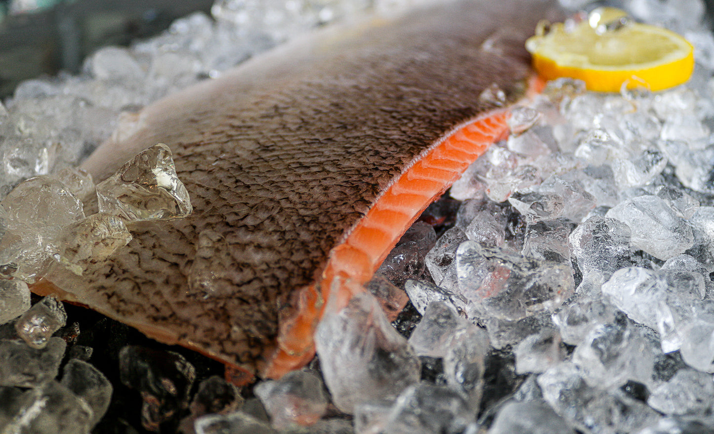 Tiefkühlfrisch - LandLachs - Filet, roh mit Haut